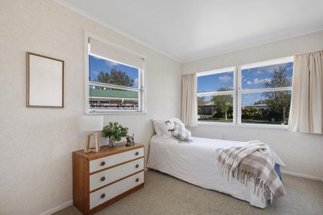 Photo of property in 3 Sheffield Street, Matamata, 3400