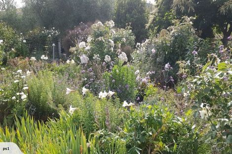 Photo of property in 801 Martinborough Masterton Road, Longbush, Masterton, 5884