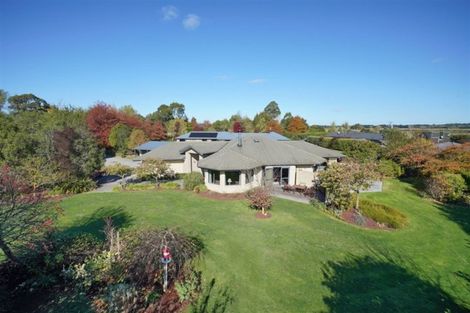 Photo of property in 5 Newton Place, Amberley, 7410