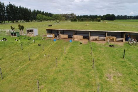 Photo of property in 39 Laws Road, Dannevirke, 4972