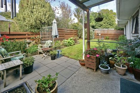 Photo of property in 100b Boucher Avenue, Te Puke, 3119