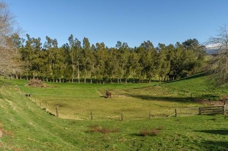 Photo of property in 67 Laurel Drive, Whakamarama, Tauranga, 3179