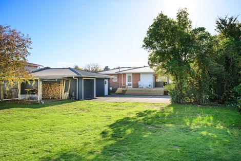 Photo of property in 21 Queen Street, Feilding, 4702