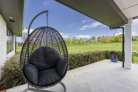 Photo of property in 102 Lindsay Road, Waipukurau, 4283