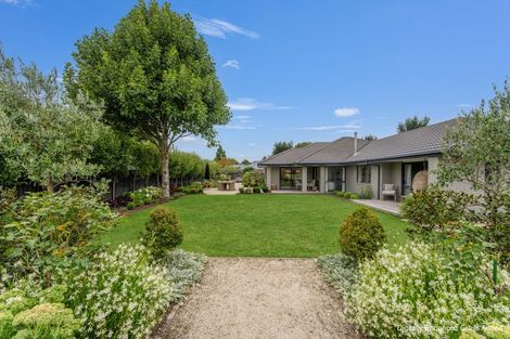 Photo of property in 38 Edward Street, Prebbleton, 7604