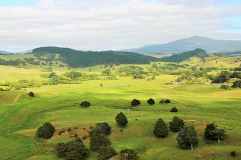 Photo of property in 1008 Tangowahine Valley Road, Tangowahine, Dargaville, 0372