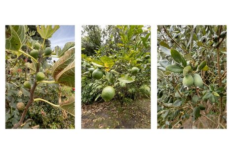 Photo of property in 23 Waterways Drive, Ohope, 3121