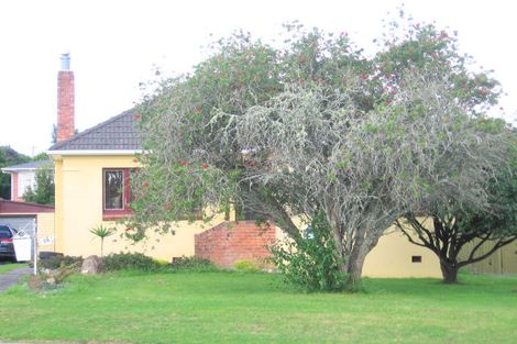 Photo of property in 19 Lavelle Road, Henderson, Auckland, 0612