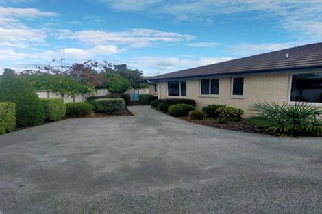 Photo of property in 185a Peachgrove Road, Claudelands, Hamilton, 3214