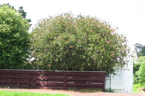 Photo of property in 21 Shoreham Street, Avondale, Auckland, 0600