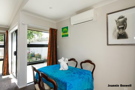 Photo of property in 60a Rongopai Street, Palmerston North, 4414