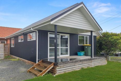 Photo of property in 55 Carey Street, Maeroa, Hamilton, 3200