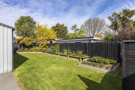 Photo of property in 42 Petrie Street, Richmond, Christchurch, 8013