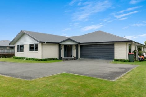 Photo of property in 19a Goodman Street, Blenheim, 7201