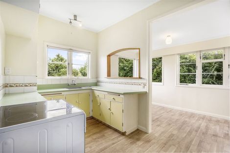 Photo of property in 7 Nelson Street, Hamilton East, Hamilton, 3216