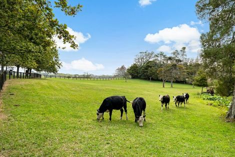 Photo of property in 894 Horseshoe Bush Road, Waitoki, Kaukapakapa, 0871