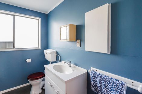 Photo of property in 101 Shamrock Street, Takaro, Palmerston North, 4412