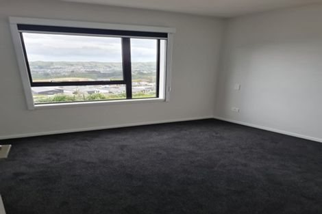 Photo of property in 38 Astelia Way, Woodridge, Wellington, 6037