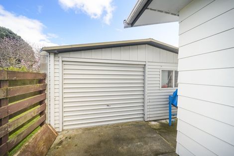 Photo of property in 135 Salisbury Street, Ashhurst, 4810