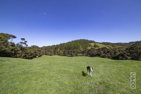 Photo of property in 353 Taylor Road, Helensville, Waimauku, 0882