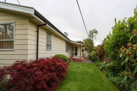 Photo of property in 3 Highfield Street, Waiau, 7332