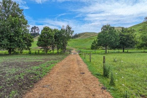 Photo of property in 880 Kopuku Road, Maramarua Forest, Te Kauwhata, 2471