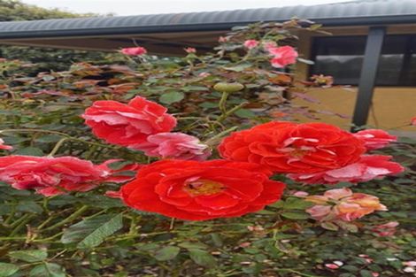 Photo of property in 61 Glassworks Road, Netherby, Ashburton, 7772