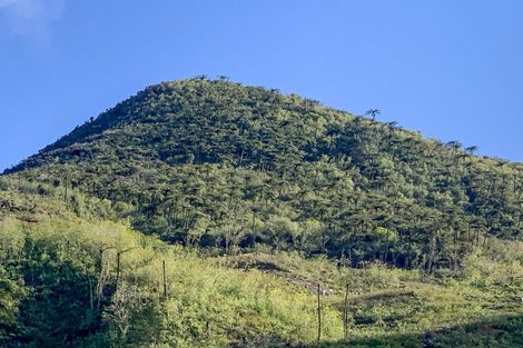 Photo of property in 118 Reservoir Road, Waihi, 3610