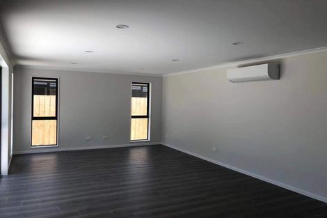 Photo of property in 42 Maggie Place, Chartwell, Hamilton, 3210