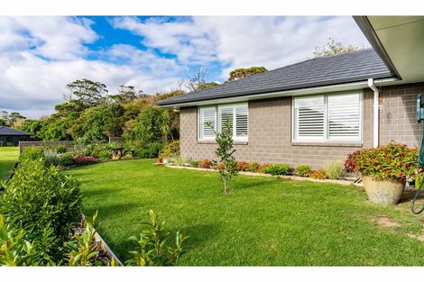 Photo of property in 6 Park Rise, Mangawhai Heads, Mangawhai, 0505