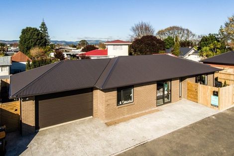 Photo of property in 26a Keith Street, Roslyn, Palmerston North, 4414