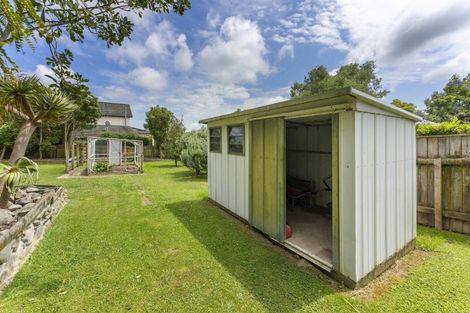 Photo of property in 17 Argyle Avenue, Levin, 5510