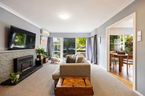 Photo of property in 46 Wake Street, Chartwell, Hamilton, 3210