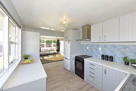 Photo of property in 1/132 Aldwins Road, Phillipstown, Christchurch, 8062