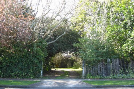 Photo of property in 79 Macarthur Street, Levin, 5510