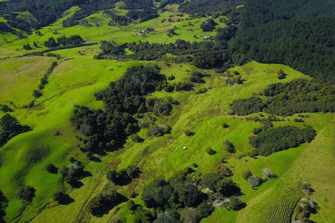 Photo of property in 110 Diggers Valley Road, Herekino, Kaitaia, 0481