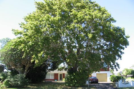 Photo of property in 2/36 Shakespeare Road, Milford, Auckland, 0620