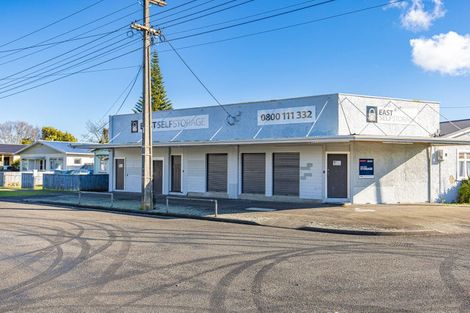 Photo of property in 19 Poutini Street, Whanganui East, Whanganui, 4500