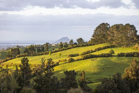 Photo of property in 11c Adrine Lane, Ohauiti, Tauranga, 3173