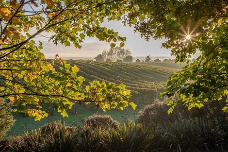 Photo of property in 21 Vogwill Road, Kumeu, 0810