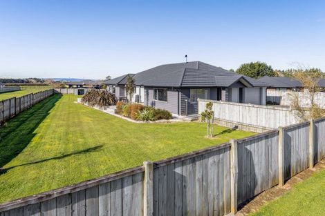 Photo of property in 4 Biron Place, Stratford, 4332