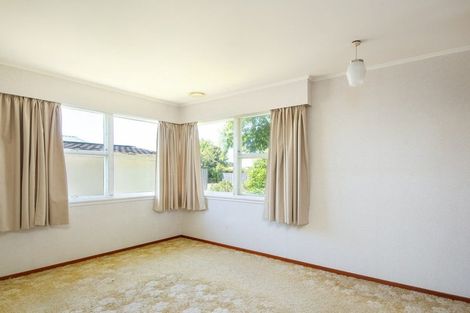 Photo of property in 24 Leefield Street, Blenheim, 7201