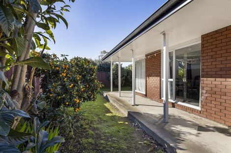 Photo of property in 28d Meehan Street, Islington, Blenheim, 7201