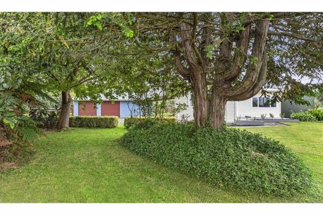 Photo of property in 853 Tahuroa Road, Morrinsville, 3371