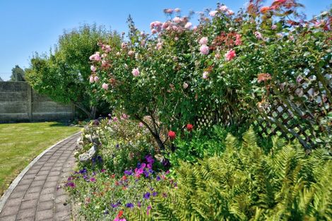 Photo of property in 16 Oakland Street, Mataura, 9712