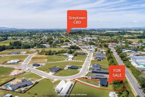 Photo of property in 19 Cotterville Crescent, Greytown, 5712