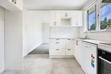 Photo of property in 29 Levonia Street, Morningside, Auckland, 1022