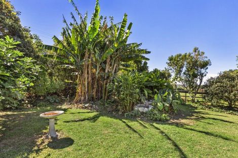 Photo of property in 385a Wainui Road, Raglan, 3297