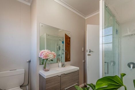 Photo of property in 169 College Street, Awapuni, Palmerston North, 4412