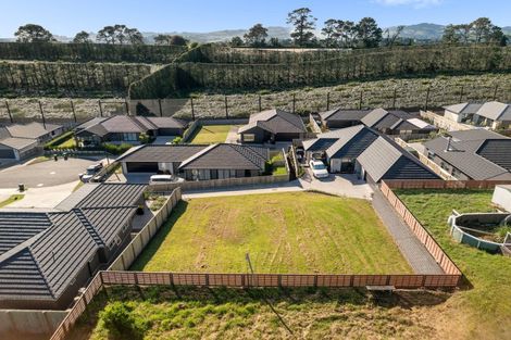 Photo of property in 48 Sharman Place, Pyes Pa, Tauranga, 3112